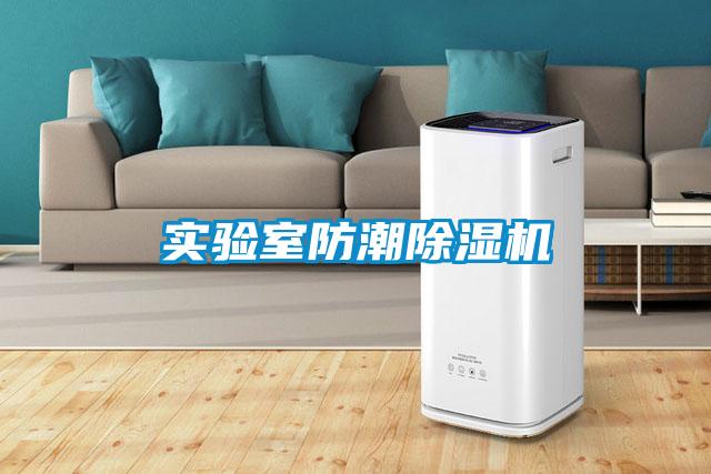 實驗室防潮除濕機(jī)