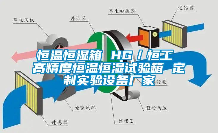 恒溫恒濕箱 HG／恒工 高精度恒溫恒濕試驗(yàn)箱 定制實(shí)驗(yàn)設(shè)備廠(chǎng)家