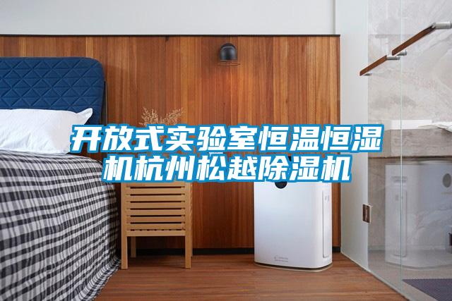 開(kāi)放式實(shí)驗(yàn)室恒溫恒濕機(jī)杭州松越除濕機(jī)