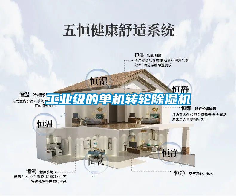 工業(yè)級的單機轉(zhuǎn)輪除濕機