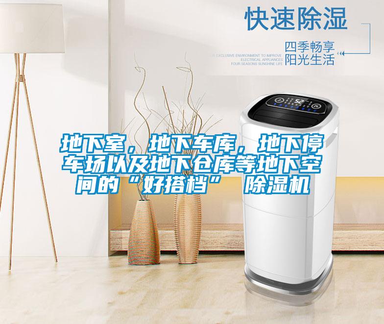 地下室，地下車(chē)庫(kù)，地下停車(chē)場(chǎng)以及地下倉(cāng)庫(kù)等地下空間的“好搭檔” 除濕機(jī)