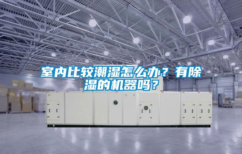 室內比較潮濕怎么辦？有除濕的機器嗎？