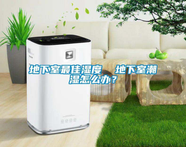 地下室最佳濕度  地下室潮濕怎么辦？