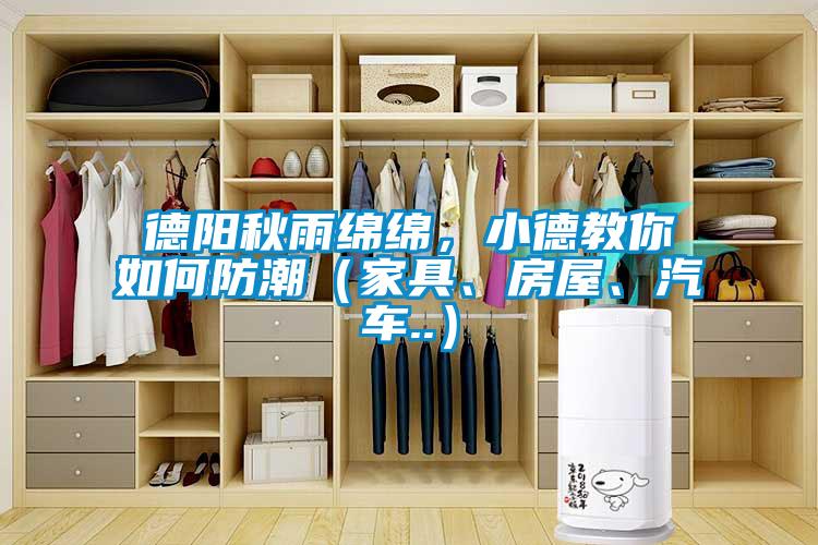 德陽秋雨綿綿，小德教你如何防潮（家具、房屋、汽車..）