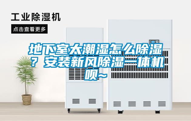 地下室太潮濕怎么除濕?安裝新風除濕一體機唄~