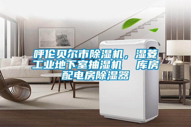 呼倫貝爾市除濕機，濕菱工業(yè)地下室抽濕機  庫房配電房除濕器