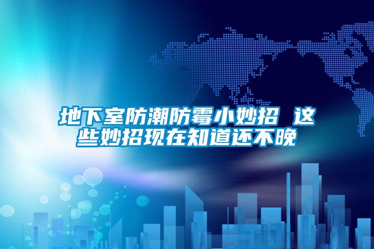地下室防潮防霉小妙招 這些妙招現在知道還不晚