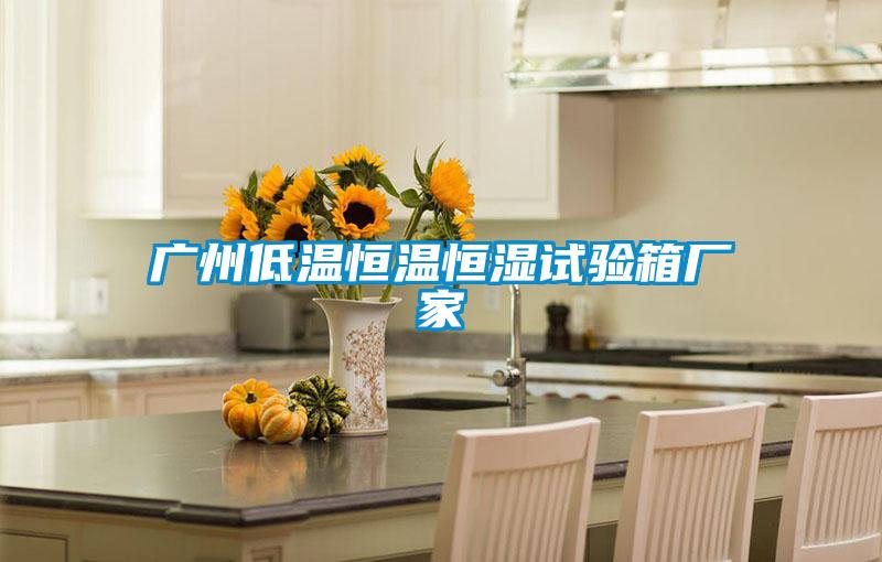 廣州低溫恒溫恒濕試驗箱廠家