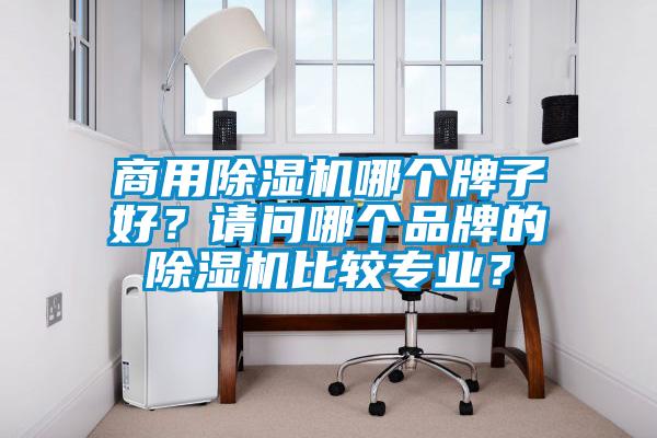 商用除濕機哪個牌子好？請問哪個品牌的除濕機比較專業？