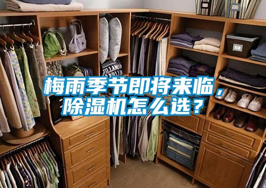 梅雨季節即將來臨，除濕機怎么選？