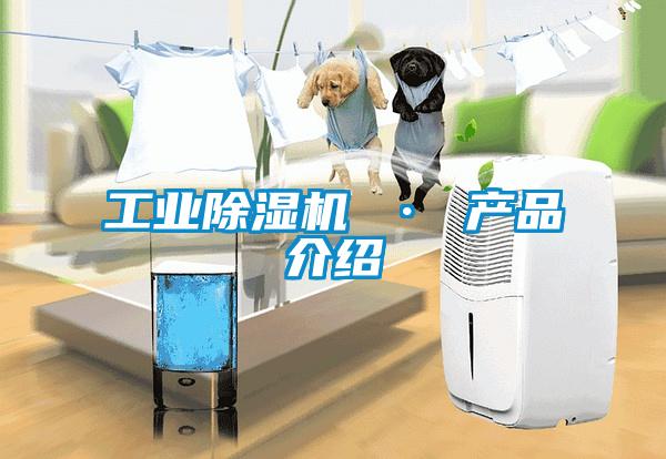 工業(yè)除濕機 · 產(chǎn)品介紹
