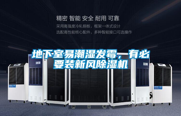 地下室易潮濕發霉，有必要裝新風除濕機