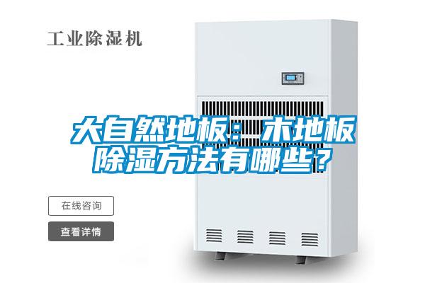 大自然地板：木地板除濕方法有哪些？