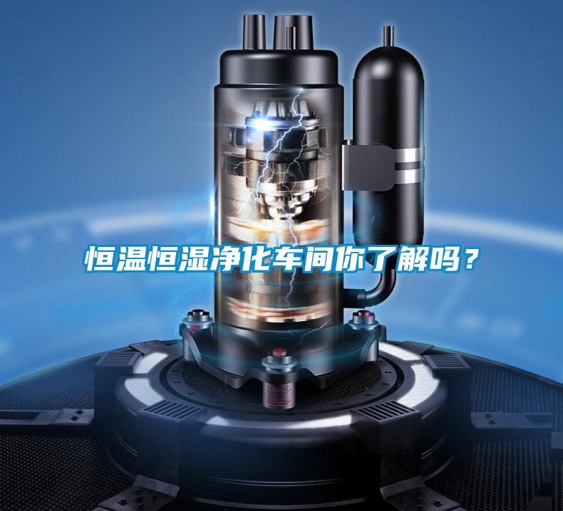 恒溫恒濕凈化車間你了解嗎？