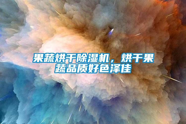 果蔬烘干除濕機，烘干果蔬品質好色澤佳