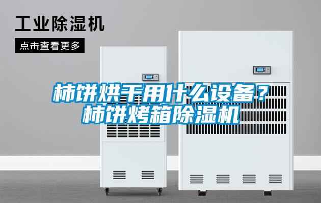 柿餅烘干用什么設備？柿餅烤箱除濕機