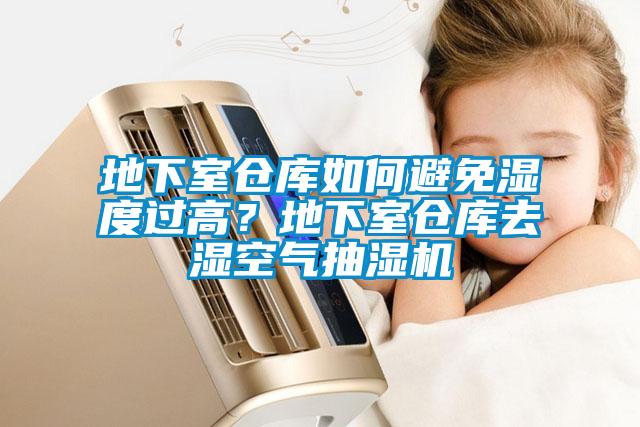 地下室倉(cāng)庫(kù)如何避免濕度過(guò)高？地下室倉(cāng)庫(kù)去濕空氣抽濕機(jī)