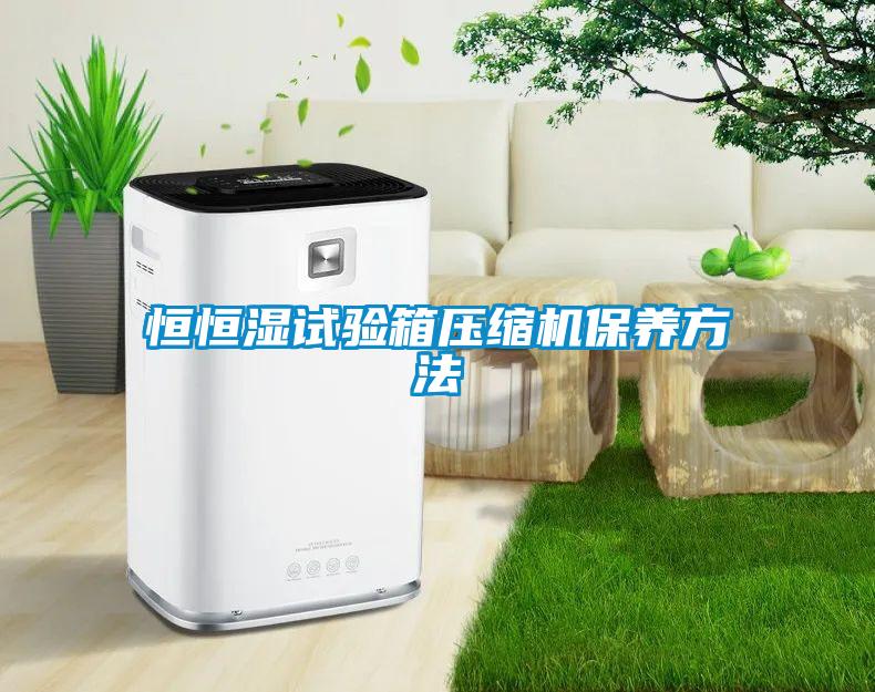 恒恒濕試驗箱壓縮機保養方法