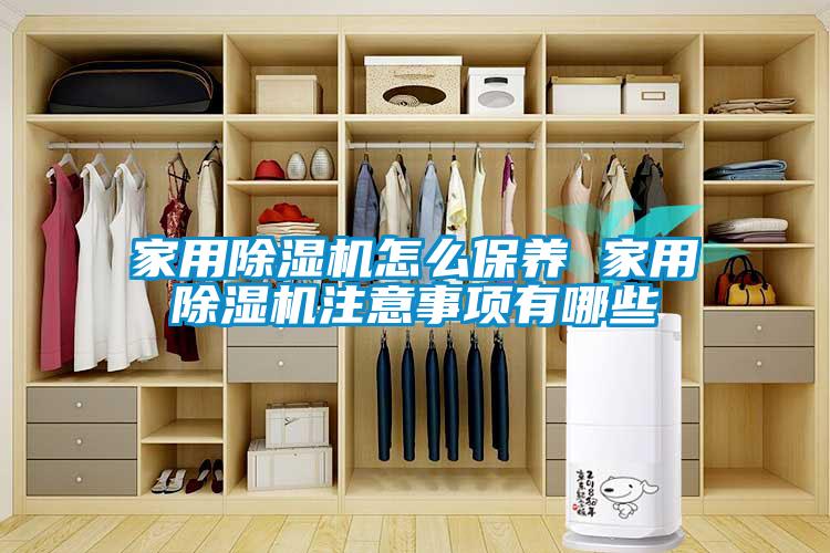 家用除濕機怎么保養(yǎng) 家用除濕機注意事項有哪些