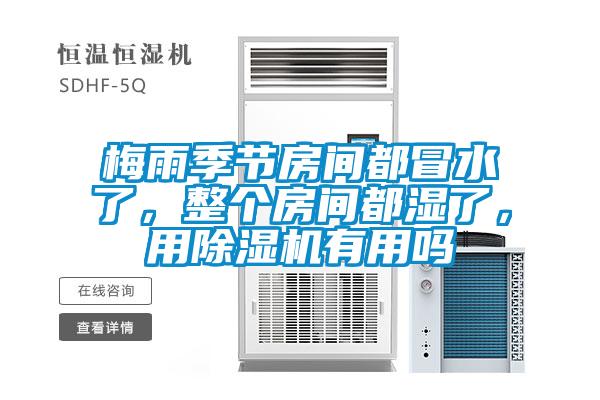 梅雨季節(jié)房間都冒水了，整個房間都濕了，用除濕機(jī)有用嗎