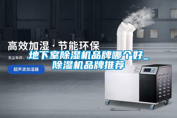 地下室除濕機(jī)品牌哪個好_除濕機(jī)品牌推薦