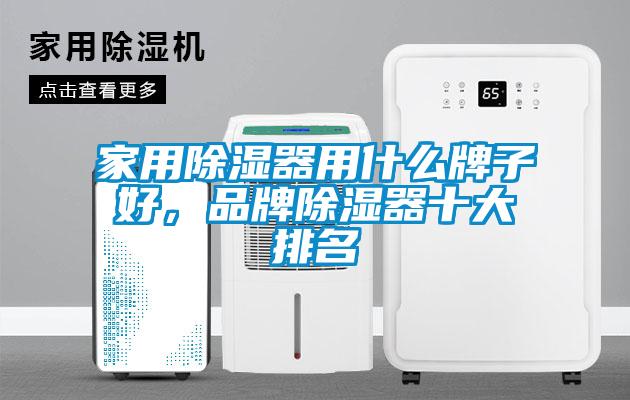家用除濕器用什么牌子好，品牌除濕器十大排名