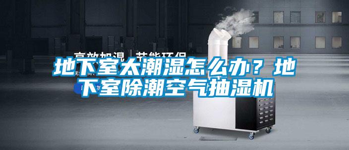 地下室太潮濕怎么辦？地下室除潮空氣抽濕機
