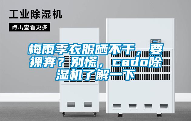 梅雨季衣服曬不干，要裸奔？別慌，cado除濕機了解一下