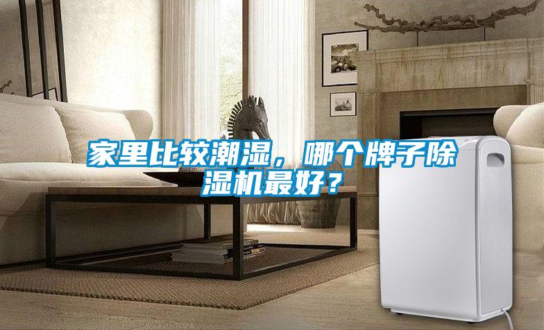 家里比較潮濕，哪個牌子除濕機(jī)最好？