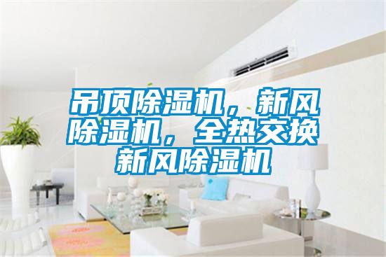 吊頂除濕機，新風除濕機，全熱交換新風除濕機