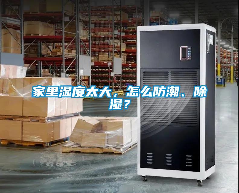 家里濕度太大，怎么防潮、除濕？