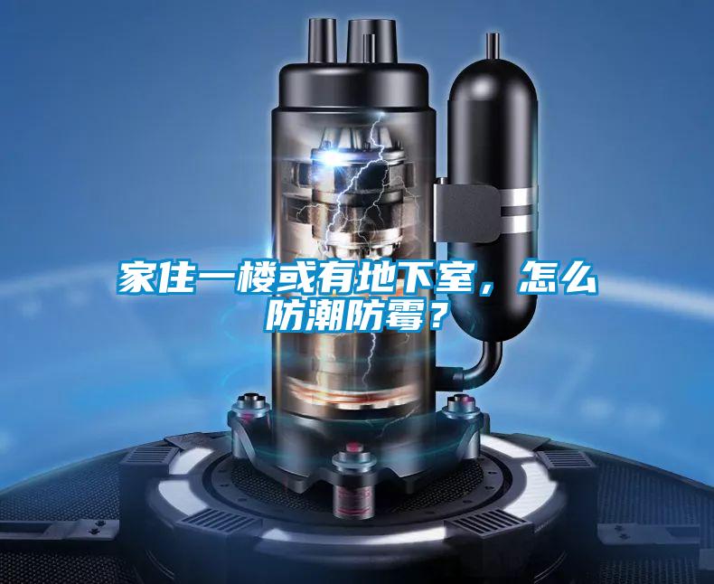 家住一樓或有地下室，怎么防潮防霉？