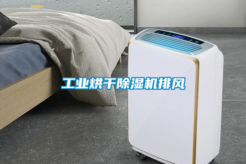 工業(yè)烘干除濕機排風