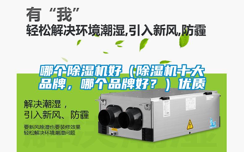 哪個除濕機好（除濕機十大品牌，哪個品牌好？）優(yōu)質(zhì)