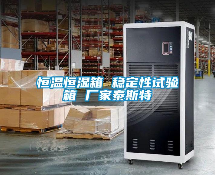 恒溫恒濕箱 穩(wěn)定性試驗(yàn)箱 廠家泰斯特