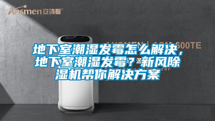 地下室潮濕發(fā)霉怎么解決,地下室潮濕發(fā)霉?新風除濕機幫你解決方案