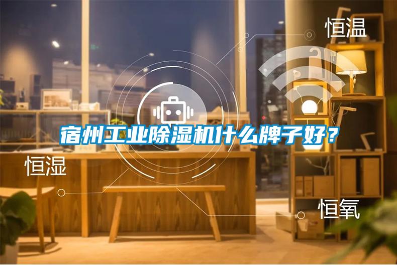 宿州工業(yè)除濕機(jī)什么牌子好？