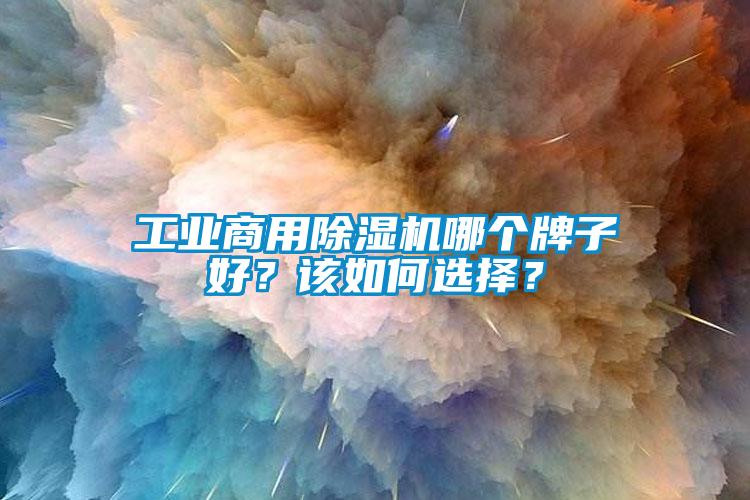 工業(yè)商用除濕機(jī)哪個牌子好？該如何選擇？