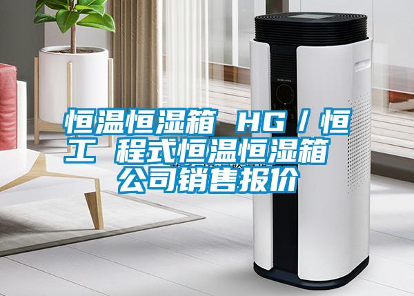 恒溫恒濕箱 HG／恒工 程式恒溫恒濕箱 公司銷(xiāo)售報(bào)價(jià)