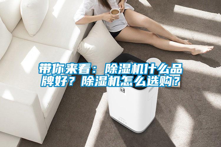 帶你來看：除濕機什么品牌好？除濕機怎么選購？