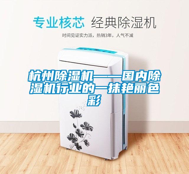 杭州除濕機(jī)——國內(nèi)除濕機(jī)行業(yè)的一抹艷麗色彩