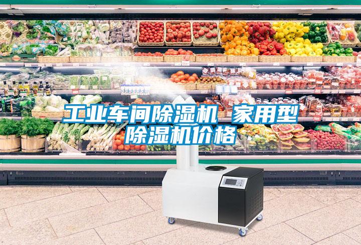 工業(yè)車間除濕機 家用型除濕機價格
