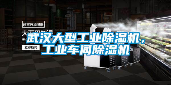 武漢大型工業除濕機，工業車間除濕機