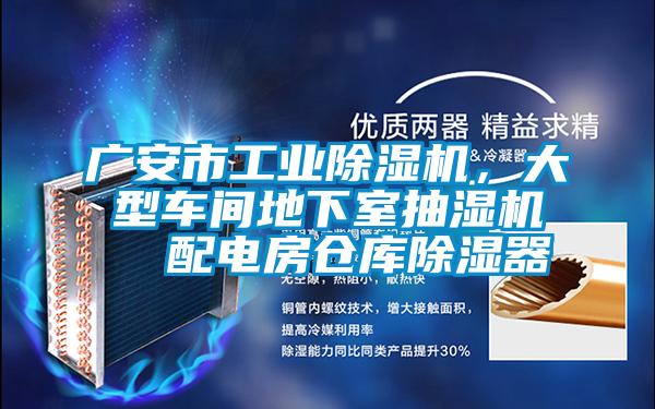 廣安市工業(yè)除濕機(jī)，大型車(chē)間地下室抽濕機(jī)  配電房倉(cāng)庫(kù)除濕器