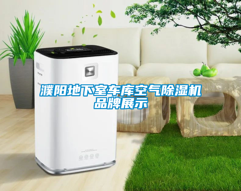 濮陽(yáng)地下室車庫(kù)空氣除濕機(jī)品牌展示