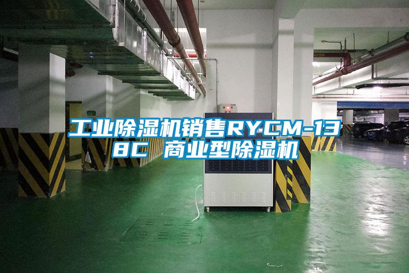 工業(yè)除濕機(jī)銷售RYCM-138C 商業(yè)型除濕機(jī)