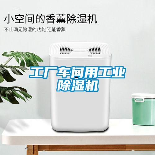 工廠車(chē)間用工業(yè)除濕機(jī)