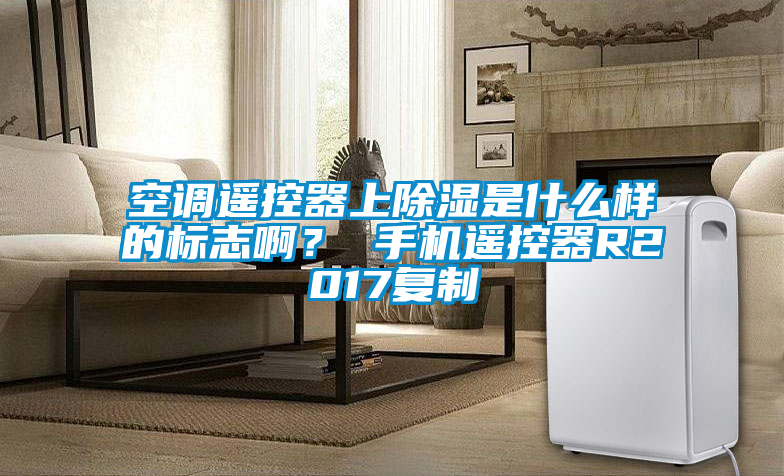 空調遙控器上除濕是什么樣的標志啊？ 手機遙控器R2017復制