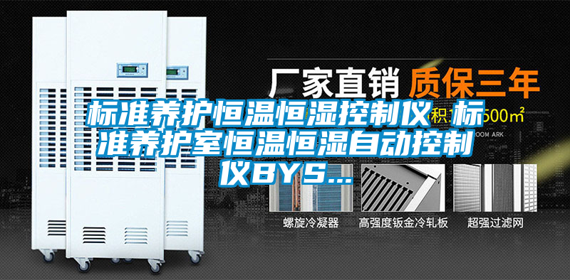 標準養(yǎng)護恒溫恒濕控制儀 標準養(yǎng)護室恒溫恒濕自動控制儀BYS...