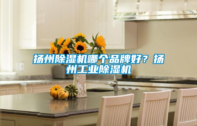 揚州除濕機哪個品牌好？揚州工業除濕機